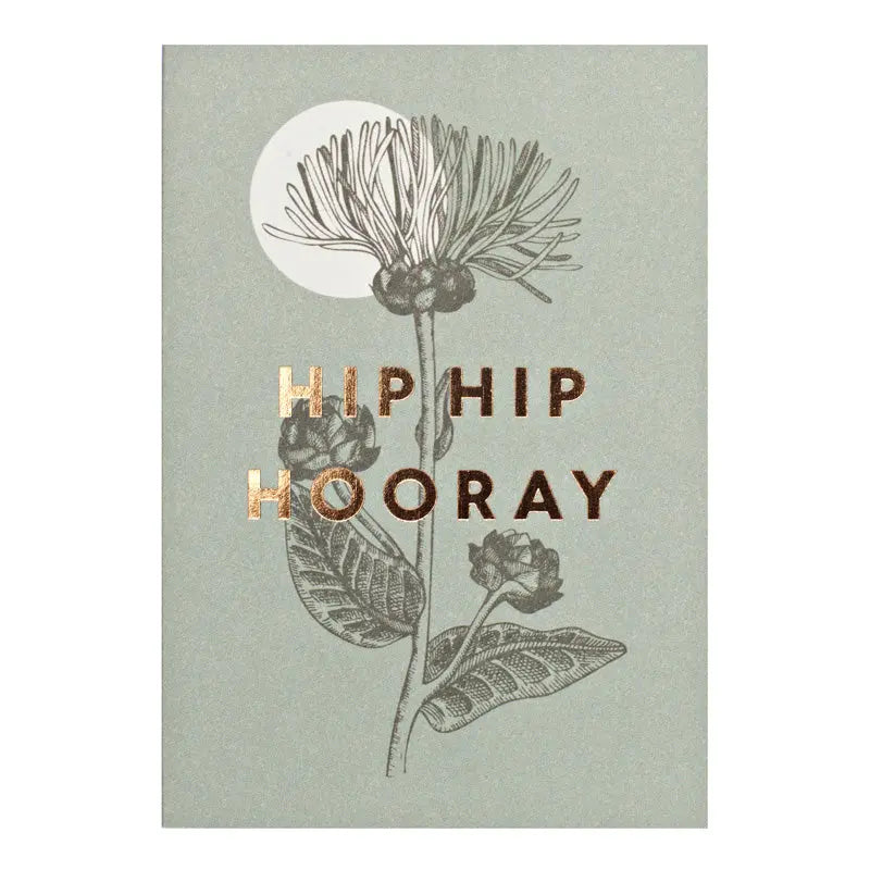 Hip Hip Hooray Greeting Card